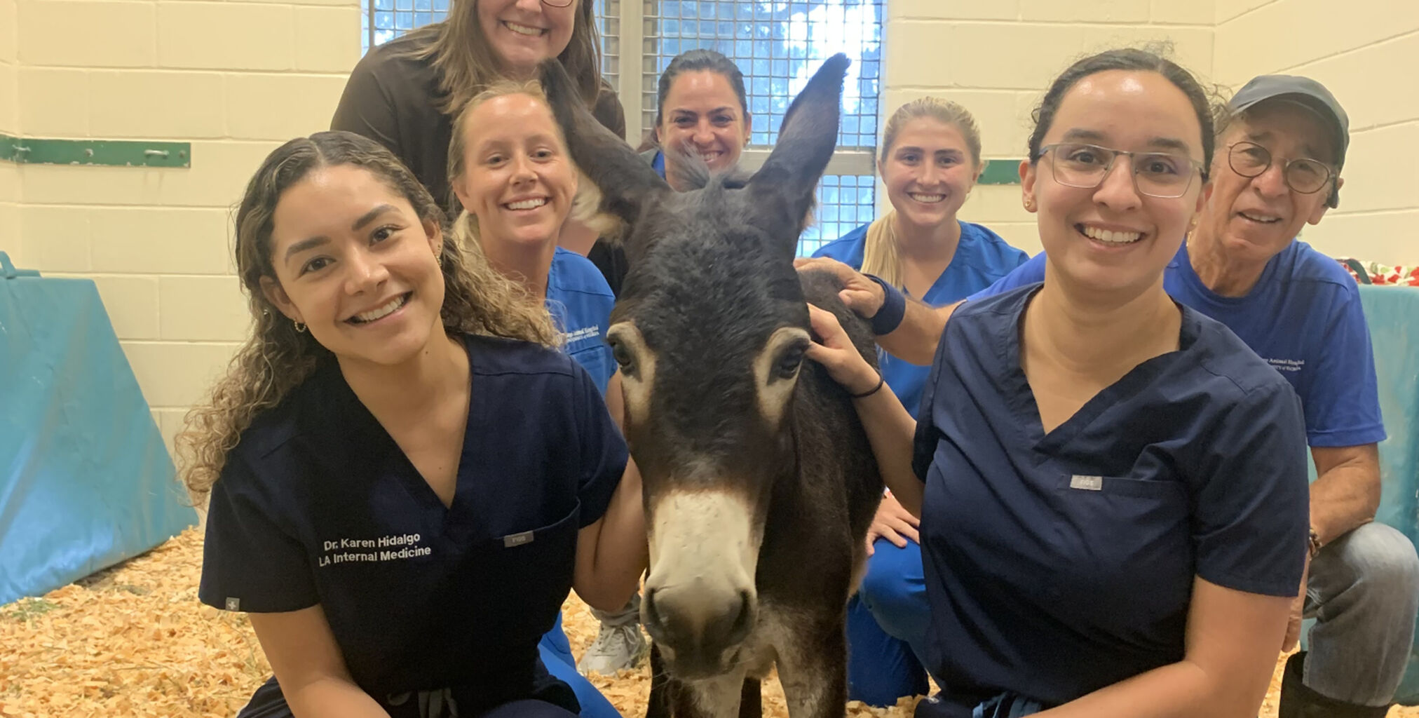 Farewell, Booger: A Miniature Donkey Recovery Story &raquo;  Large Animal Hospital &raquo; College of Veterinary Medicine &raquo; University of Florida