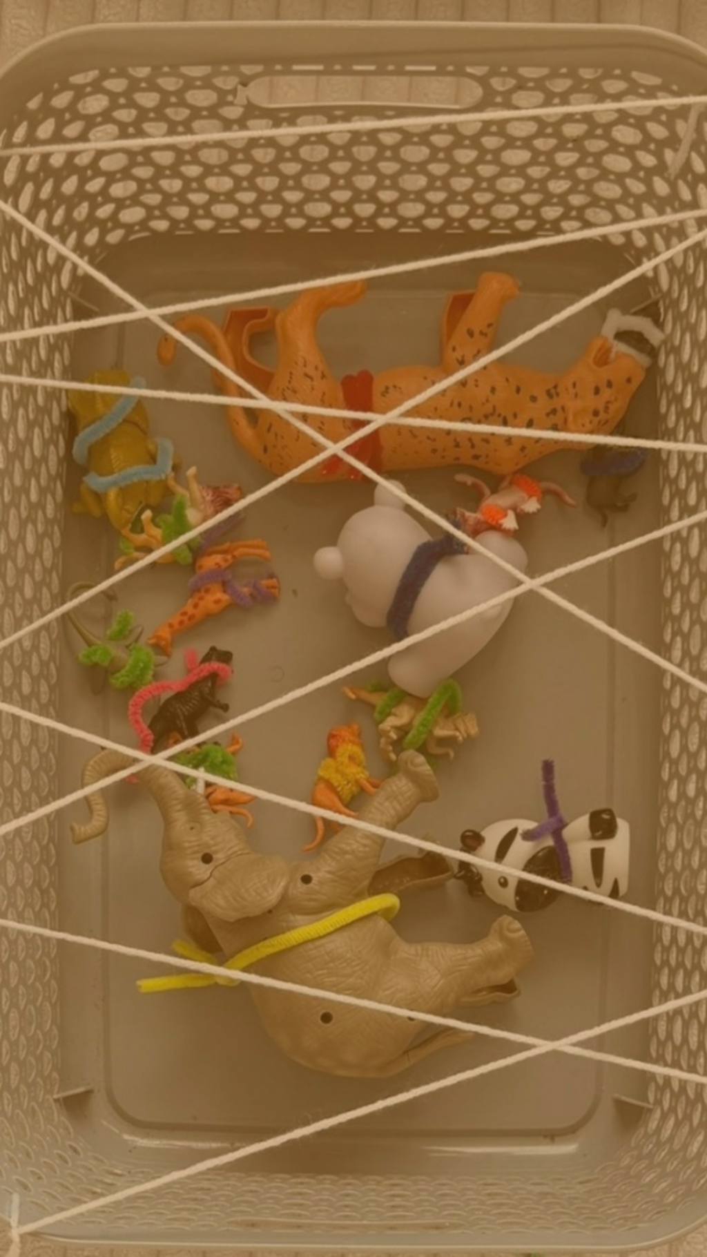 Animals Rescue