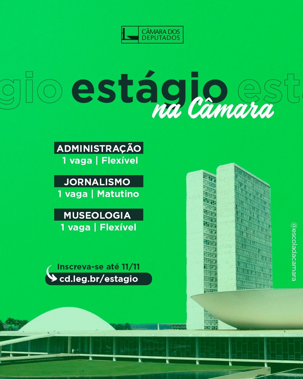 est&aacute;gio