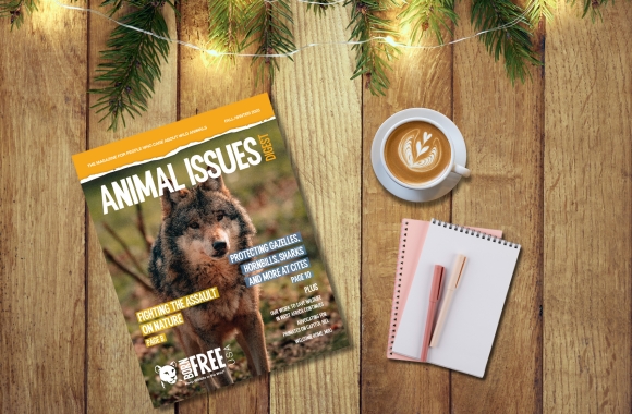 DIVE DEEPER: Animal Issues Digest: Fall/Winter 2025 | Born Free USA