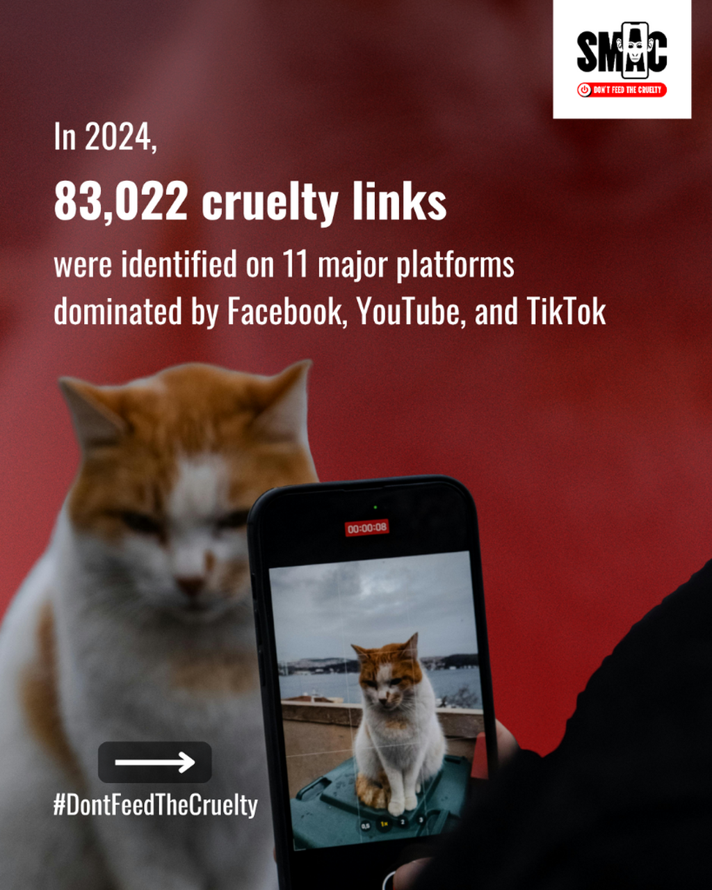 SMACC 2024 ANIMAL CRUELTY REPORT