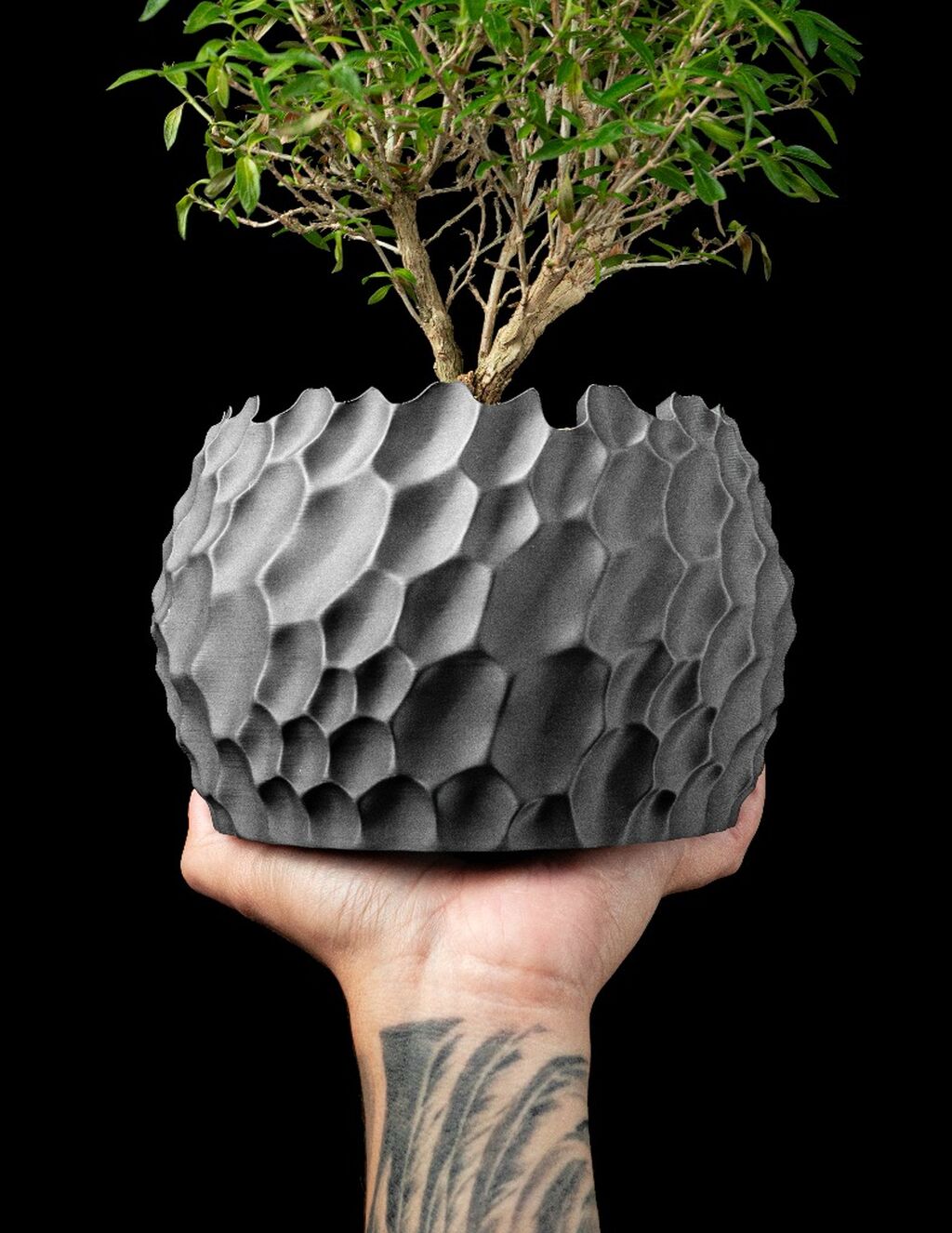 Dune Planter Pot