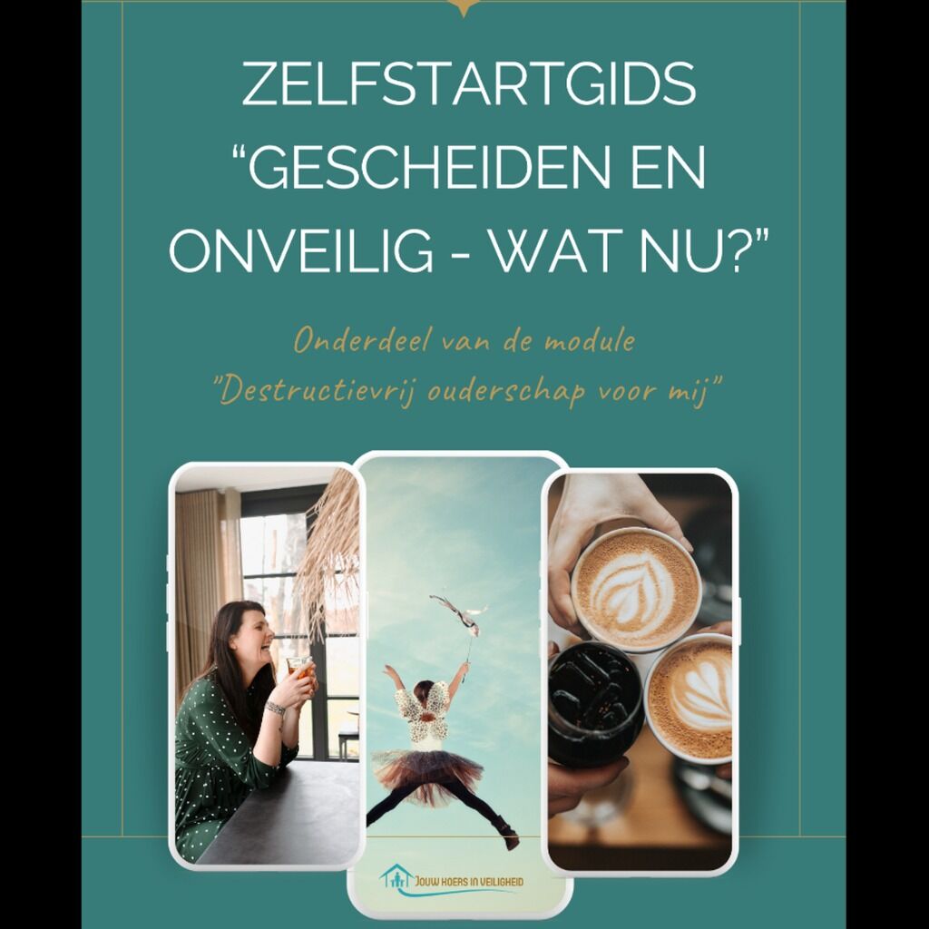 De Zelfstartgids; omgaan met instanties, de andere ouder + steun voor je kind&jezelf