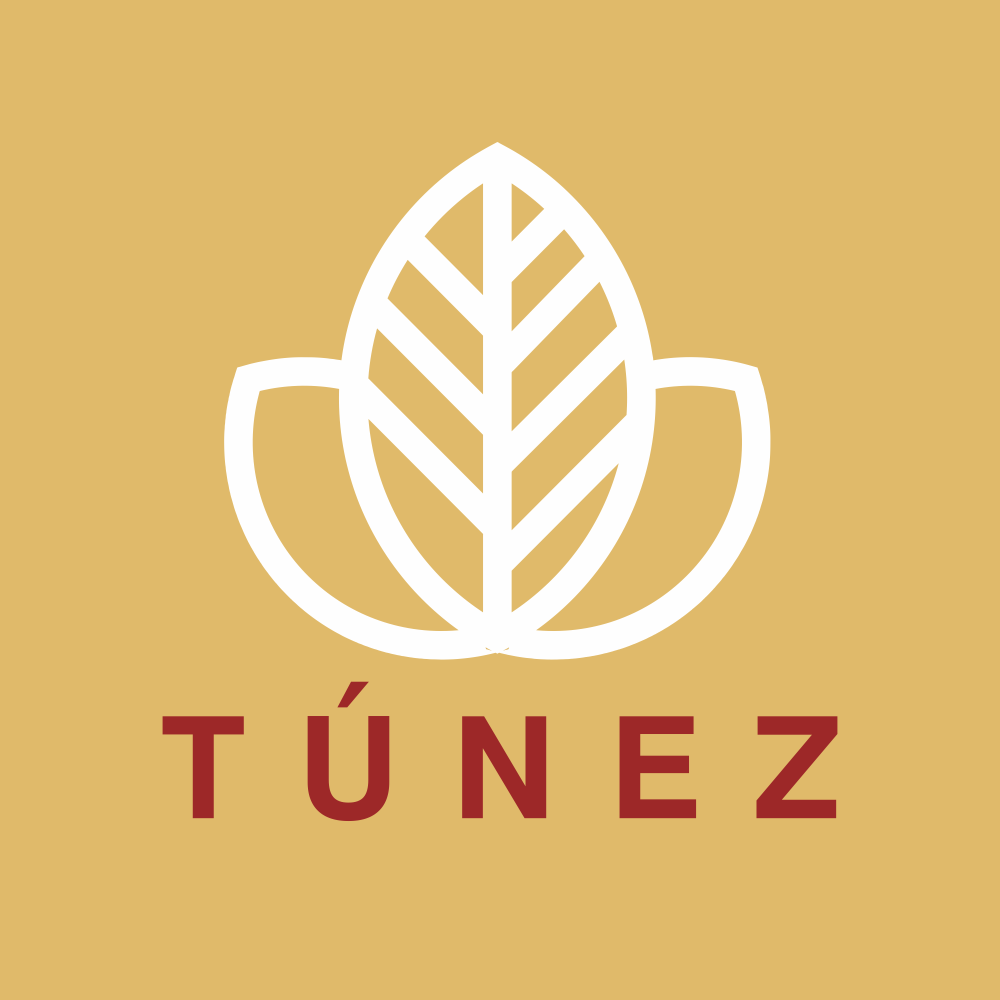 T&Uacute;NEZ - CONJUNTO RESIDENCIAL