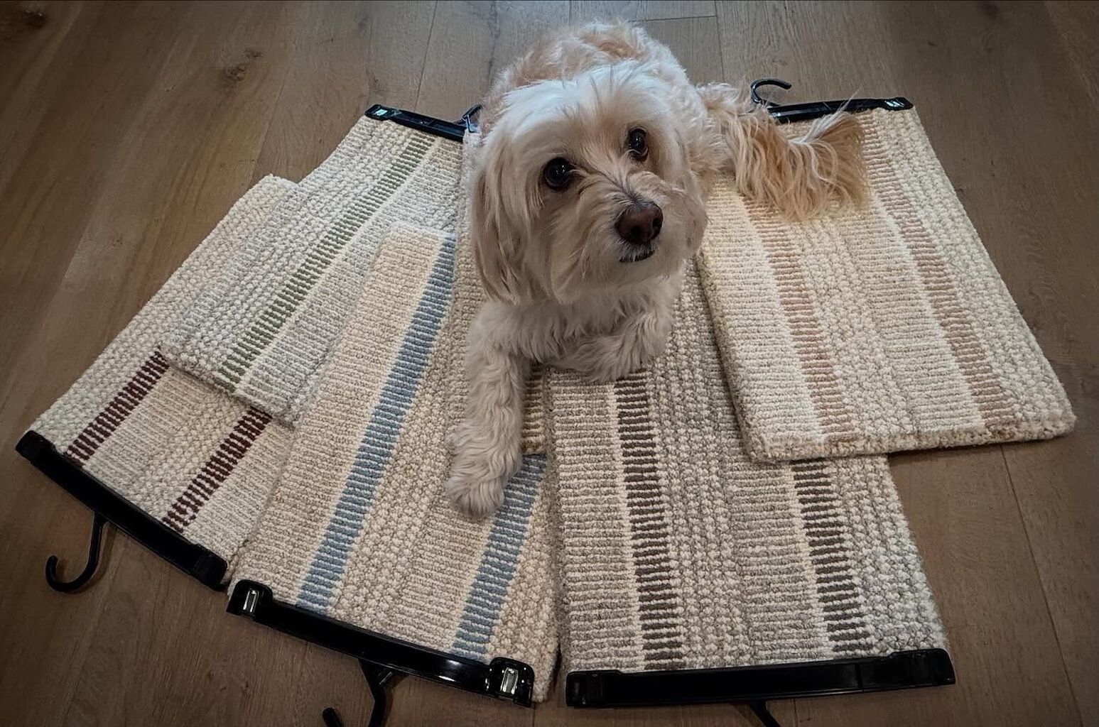 Create Your Rug