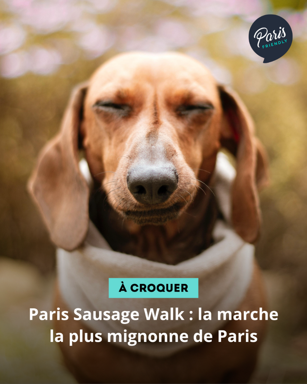 Paris Sausage Walk : la marche la plus mignonne de Paris