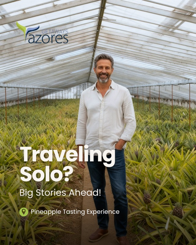 TM Solo Traveler