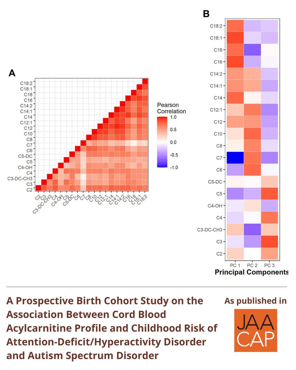 JAACAP AIP Cord Blood Acylcarnitine Profile and Childhood Risk of Attention-Deficit/Hyperactivity Disorder