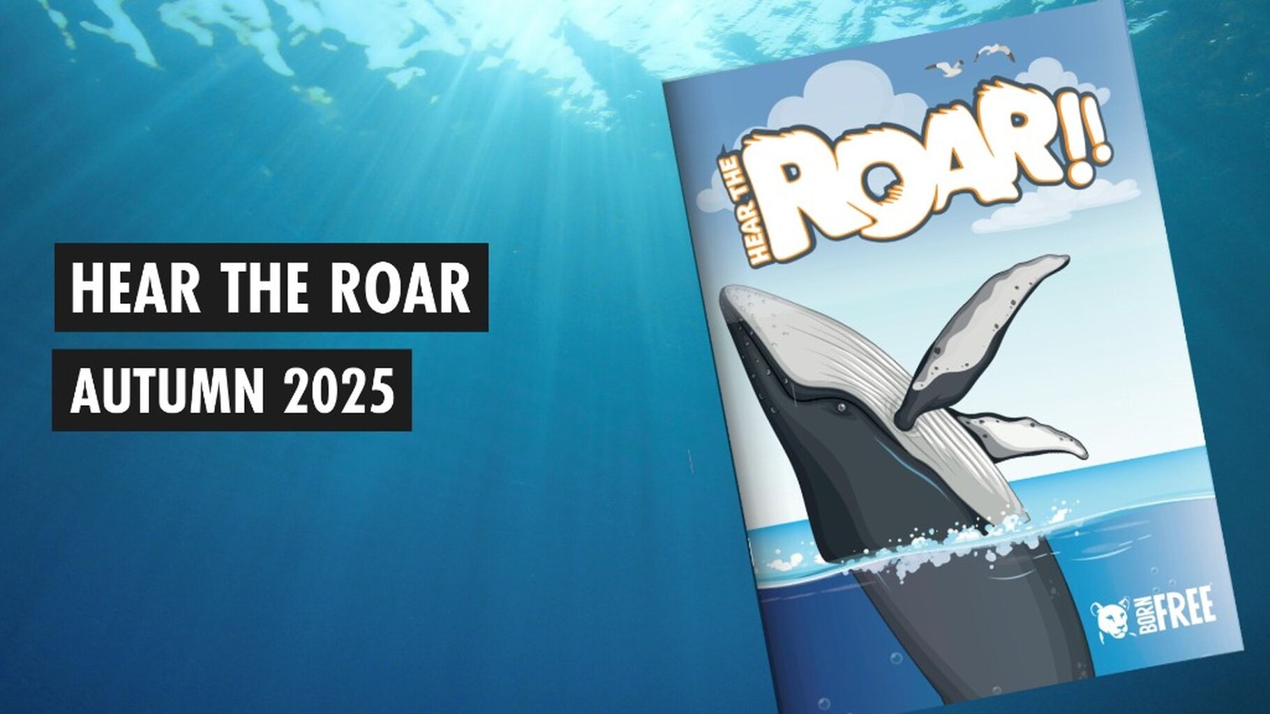 Hear the Roar: Autumn 2025