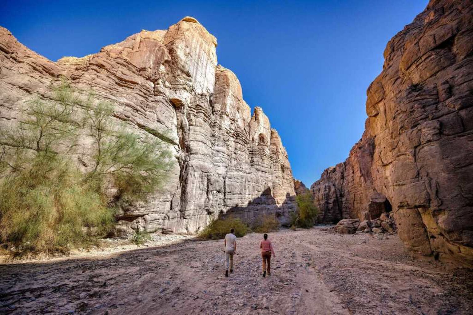 Jeff Gonzalez and Greg Wallis: Why the Chuckwalla National Monument matters