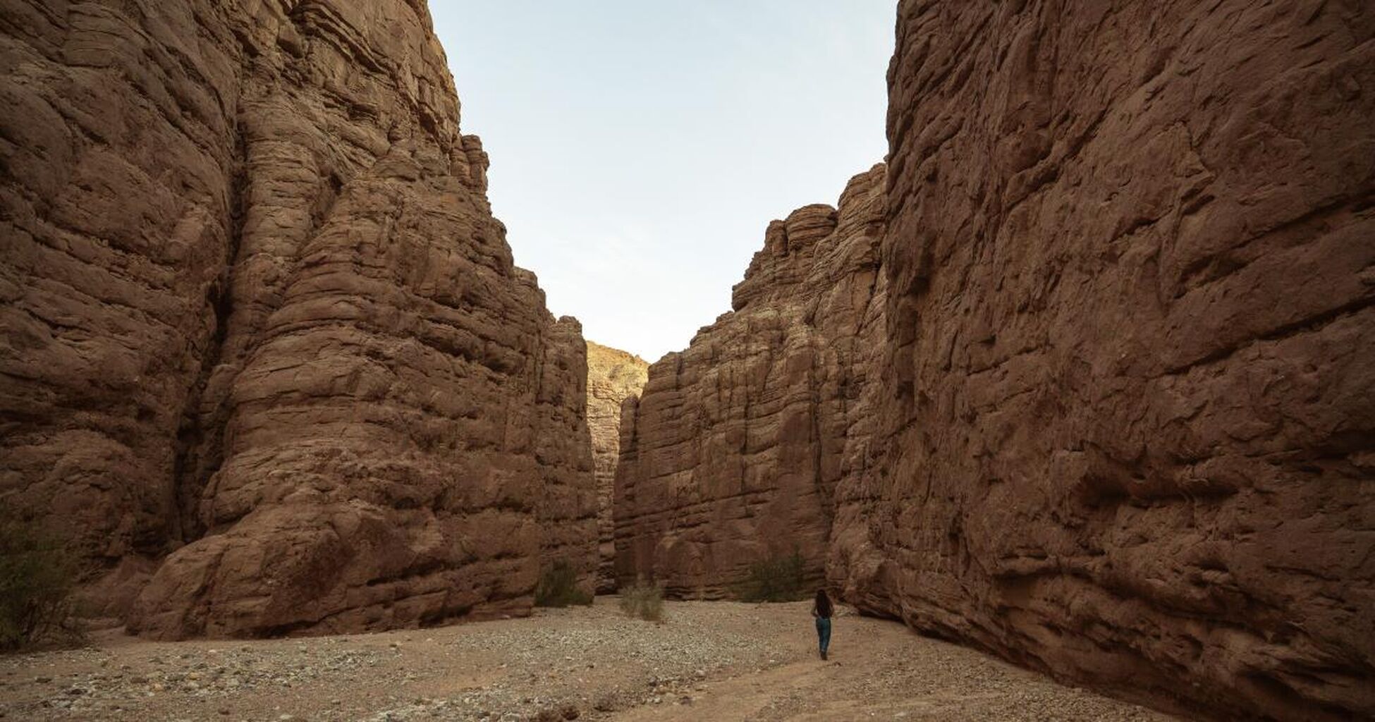 Five California tribes have established an intertribal commission to co-manage Chuckwalla National Monument