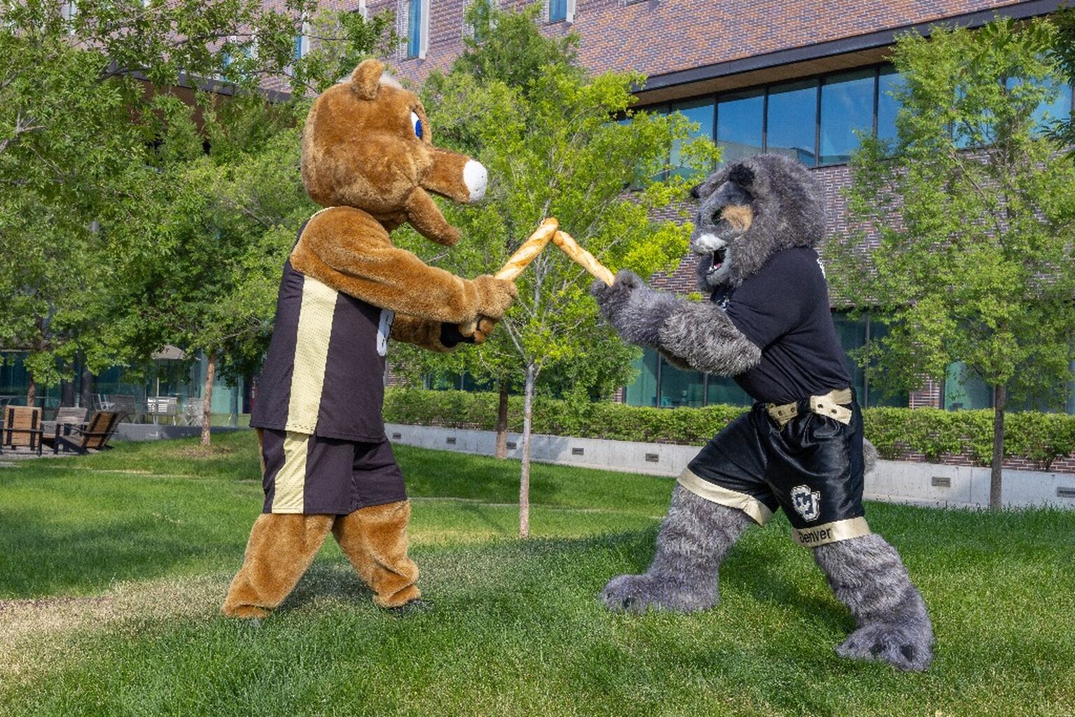 Join the CU Food Fight!