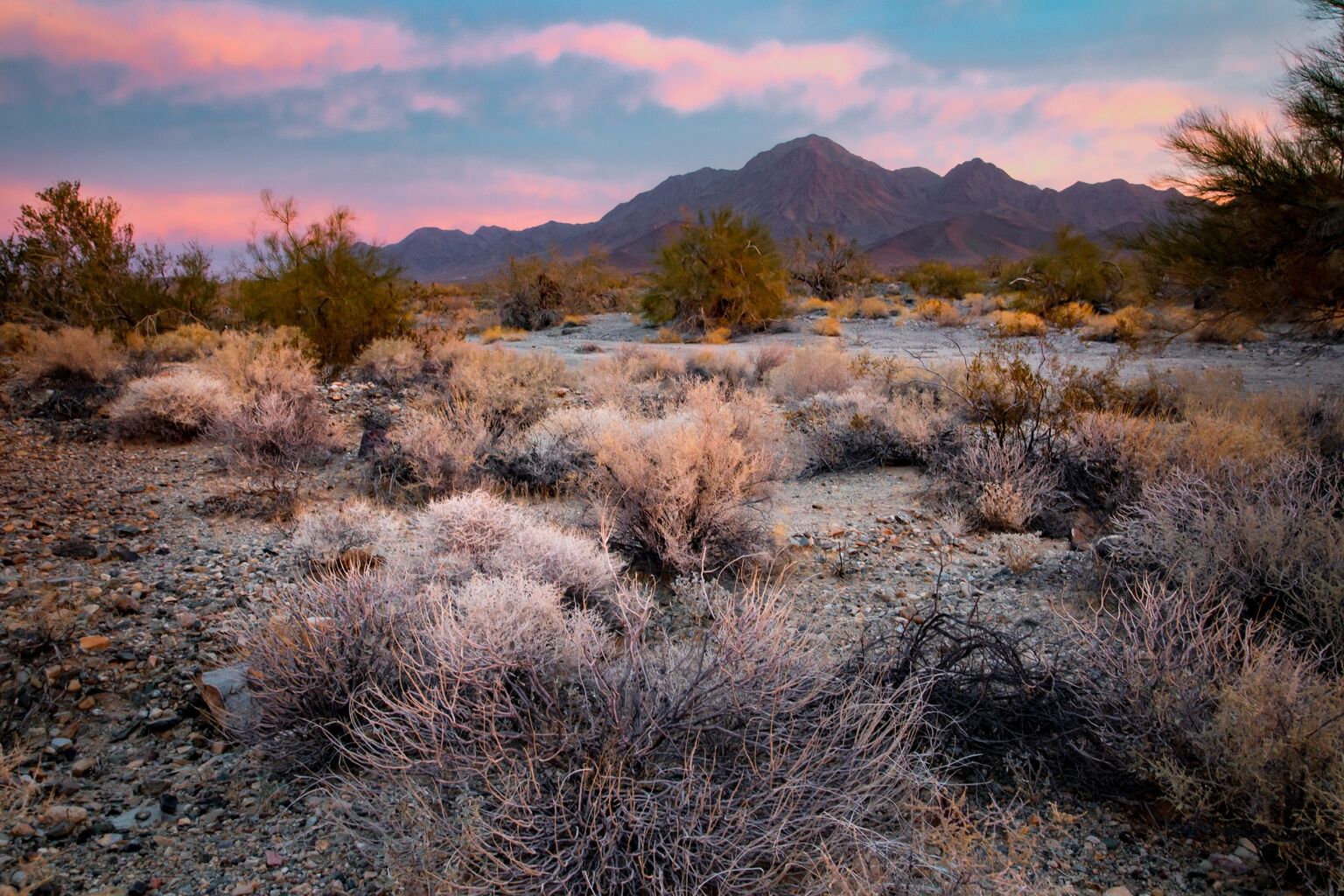 Tribes Convene a Commission in Response to Concerns About Management of the Chuckwalla National Monument