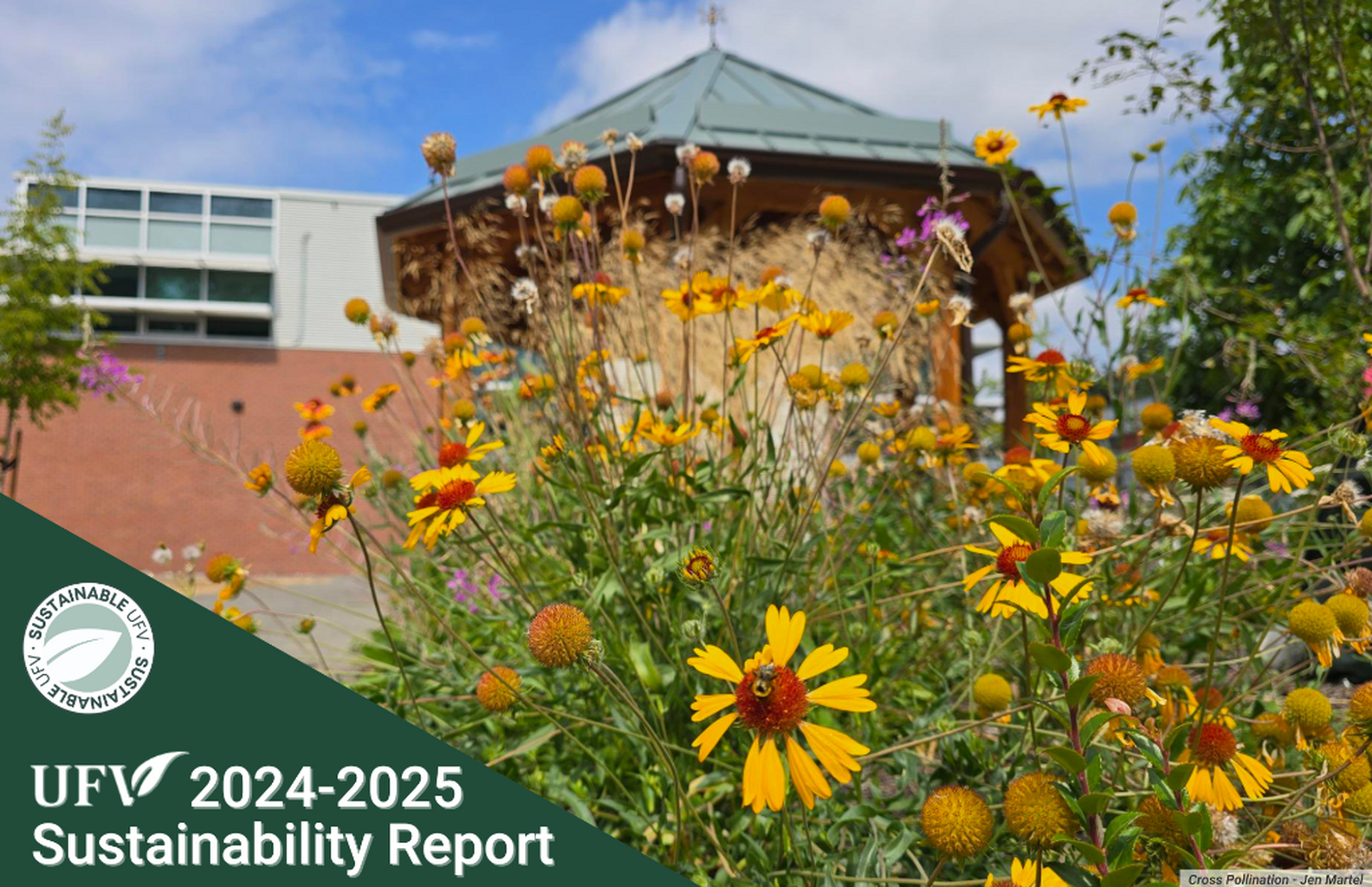Read our 2024-2025 Sustainability Report