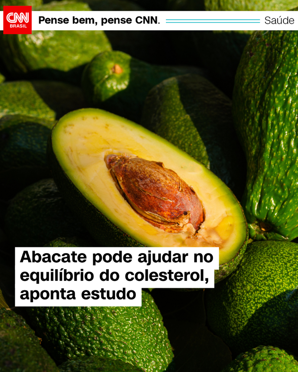 Abacate pode ajudar no equil&iacute;brio do colesterol, aponta estudo