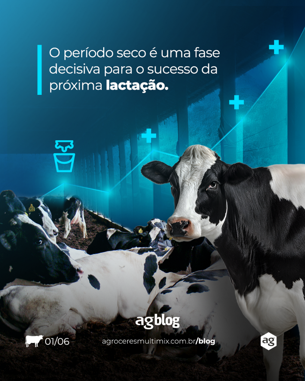 Bovinos de leite: esfriamento e estabula&ccedil;&atilde;o de vacas secas 