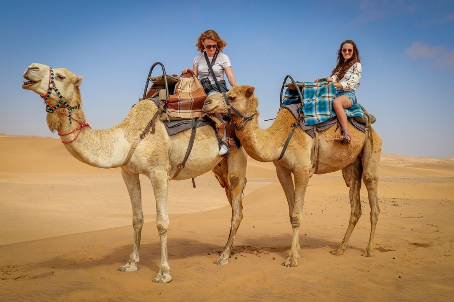 Dubai Desert Safari with BBQ Dinner and Camel Ride &euro;39