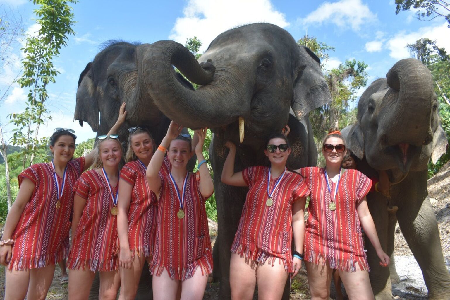Elephant Care Park Experience in Phuket with Hotel Transfer &euro;35