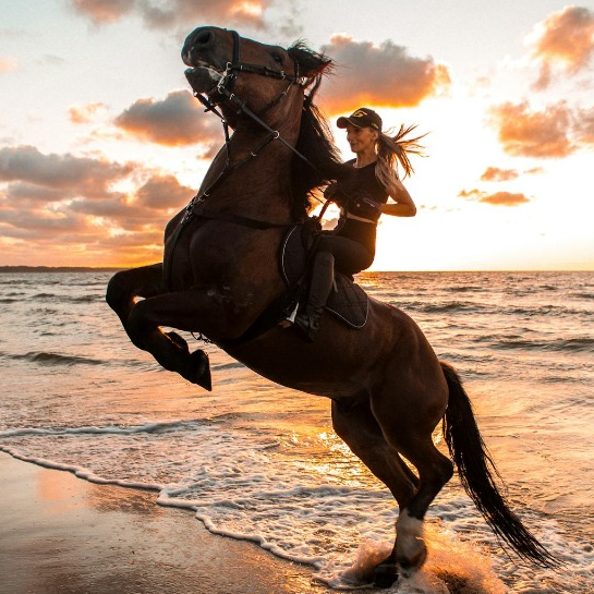 1-Hour Beach Horse Ride in Sharm El Sheikh &euro;30
