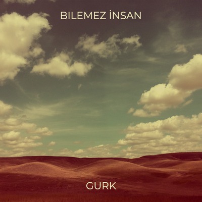 Bilemez İnsan (Remix)