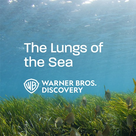 The Lungs of the Sea