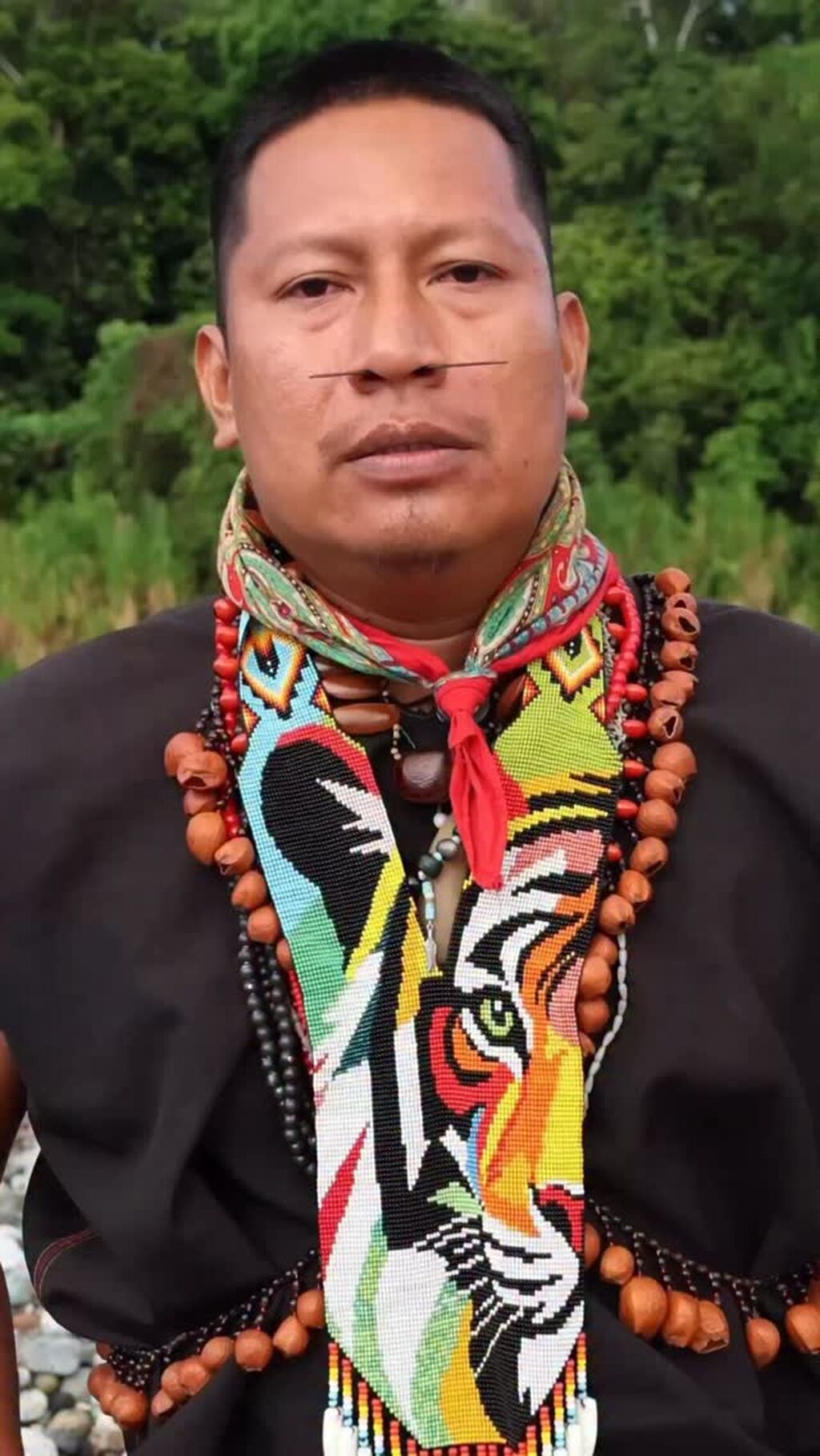 TheAmazonIsNotForSale