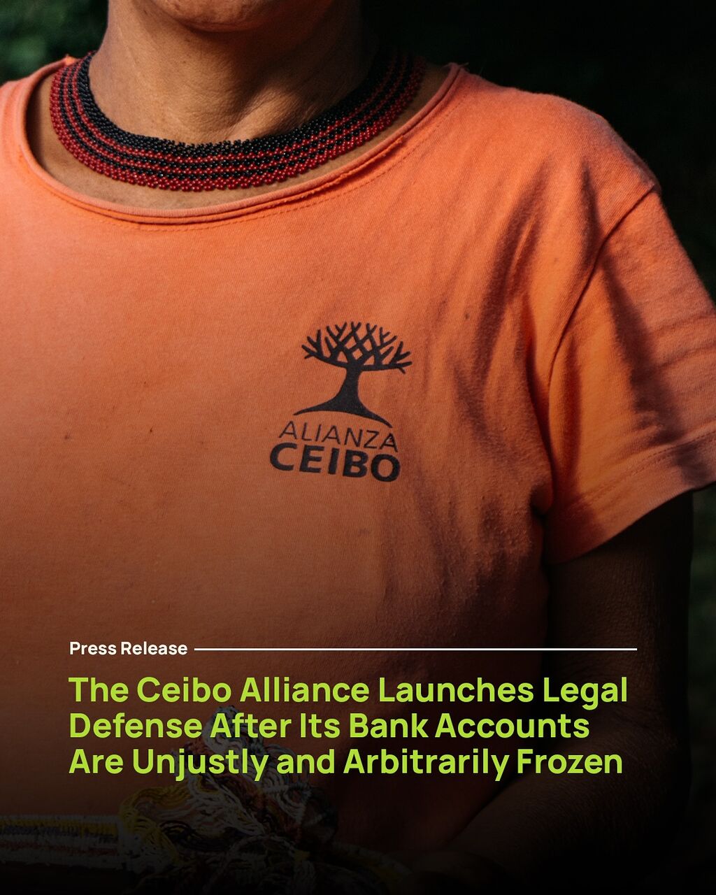 the Ceibo Alliance Foundation advances its legal defense against the freezing of its bank accounts.