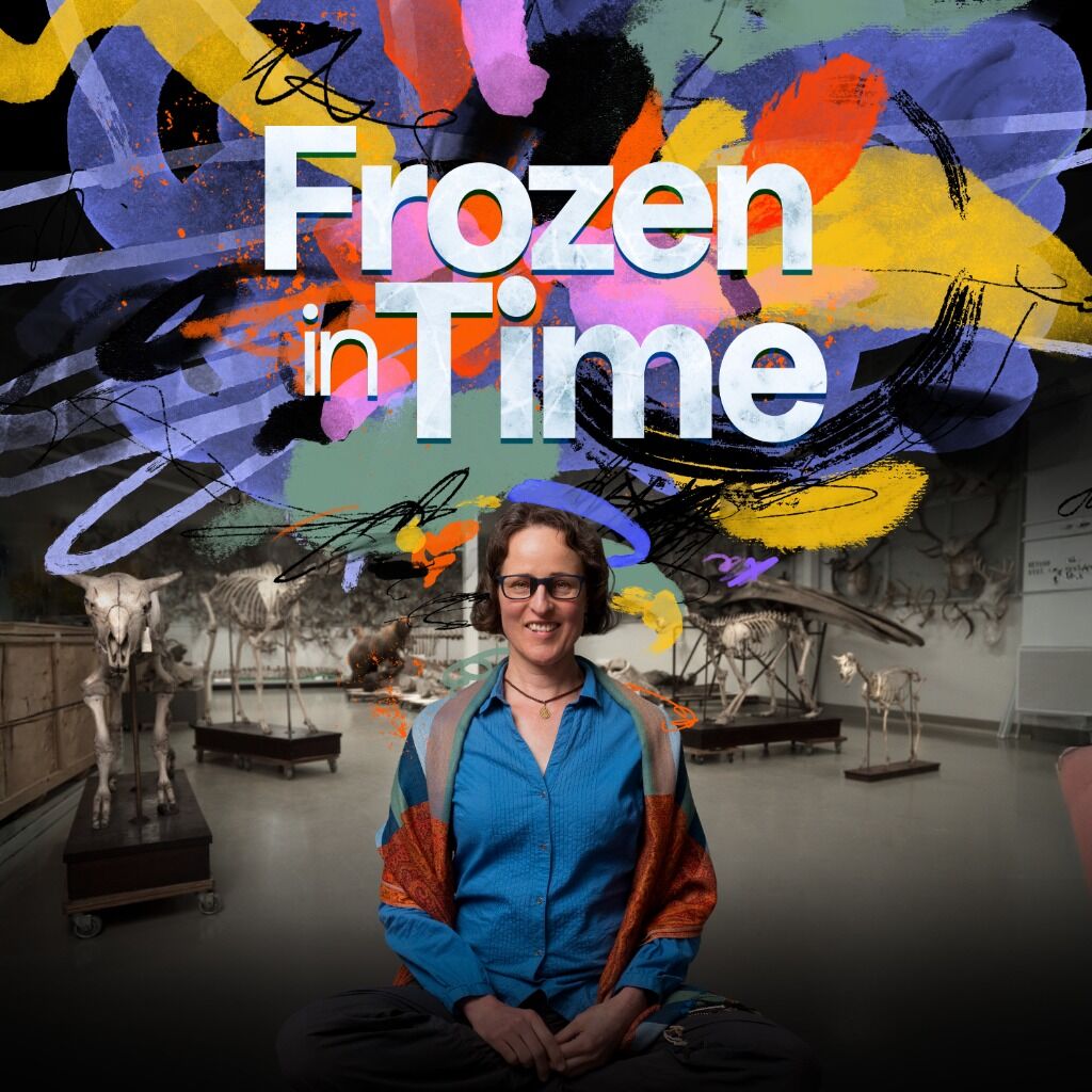 Frozen in Time (YouTube)
