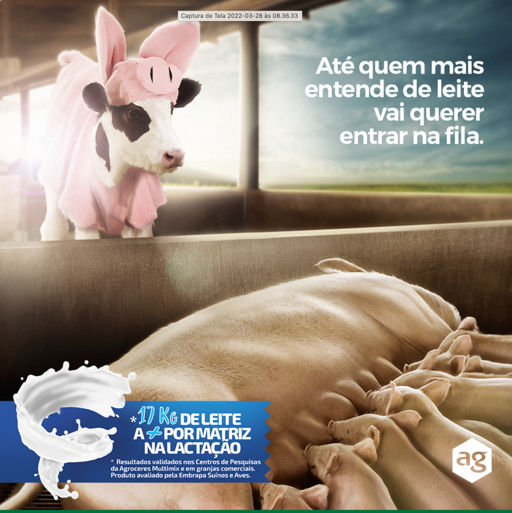 O Flavolac aumenta a produ&ccedil;&atilde;o de leite das matrizes, potencializando o ganho de peso dos leit&otilde;es na maternidade.