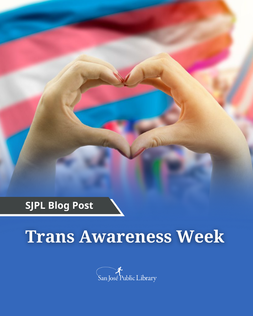 Trans Awareness Week