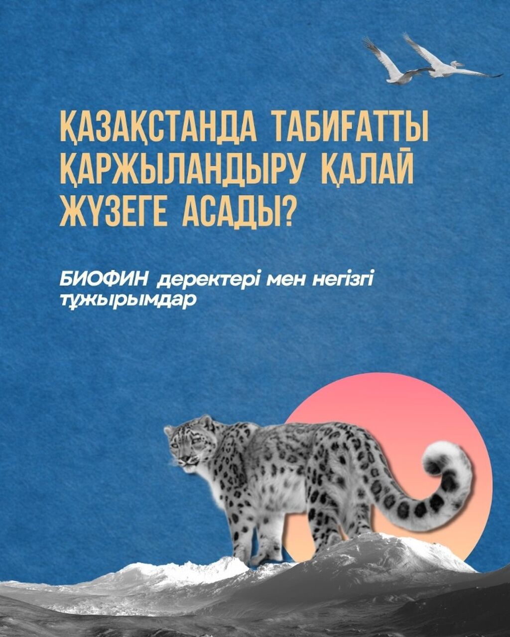 Өмірге инвестиция: БИОФИН Қазақстанға табиғатты қаржыландыруға қалай көмектеседі