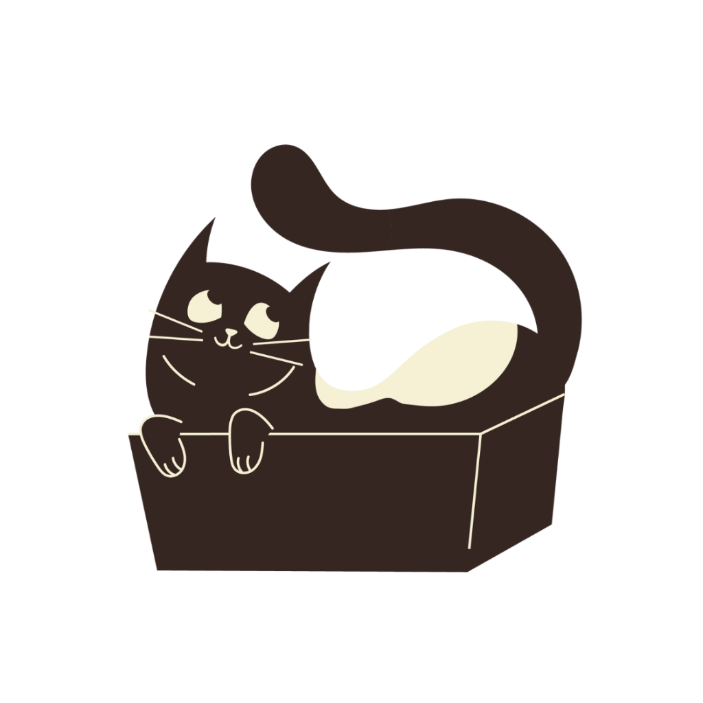 shop on amazon
