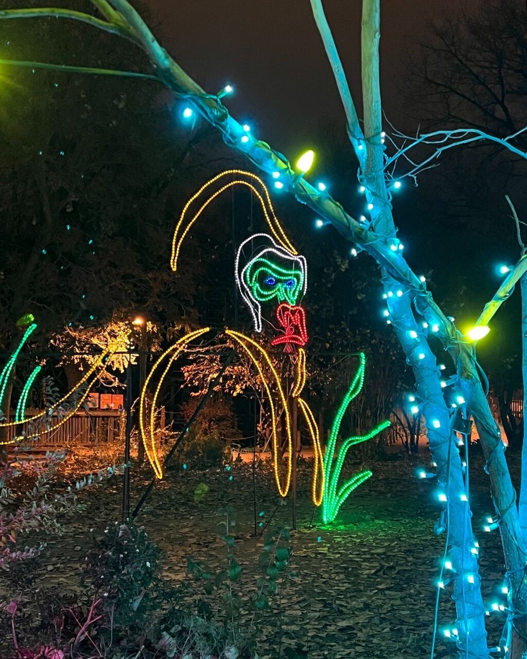 Get Your Tickets for CU Zoo Lights!