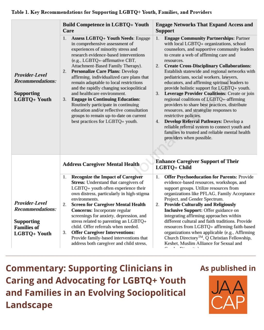 JAACAP AIP Commentary Supporting Clinicians