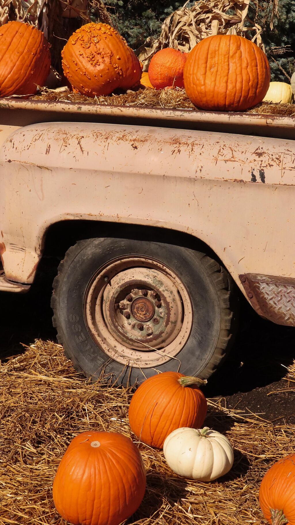 Spano Farms