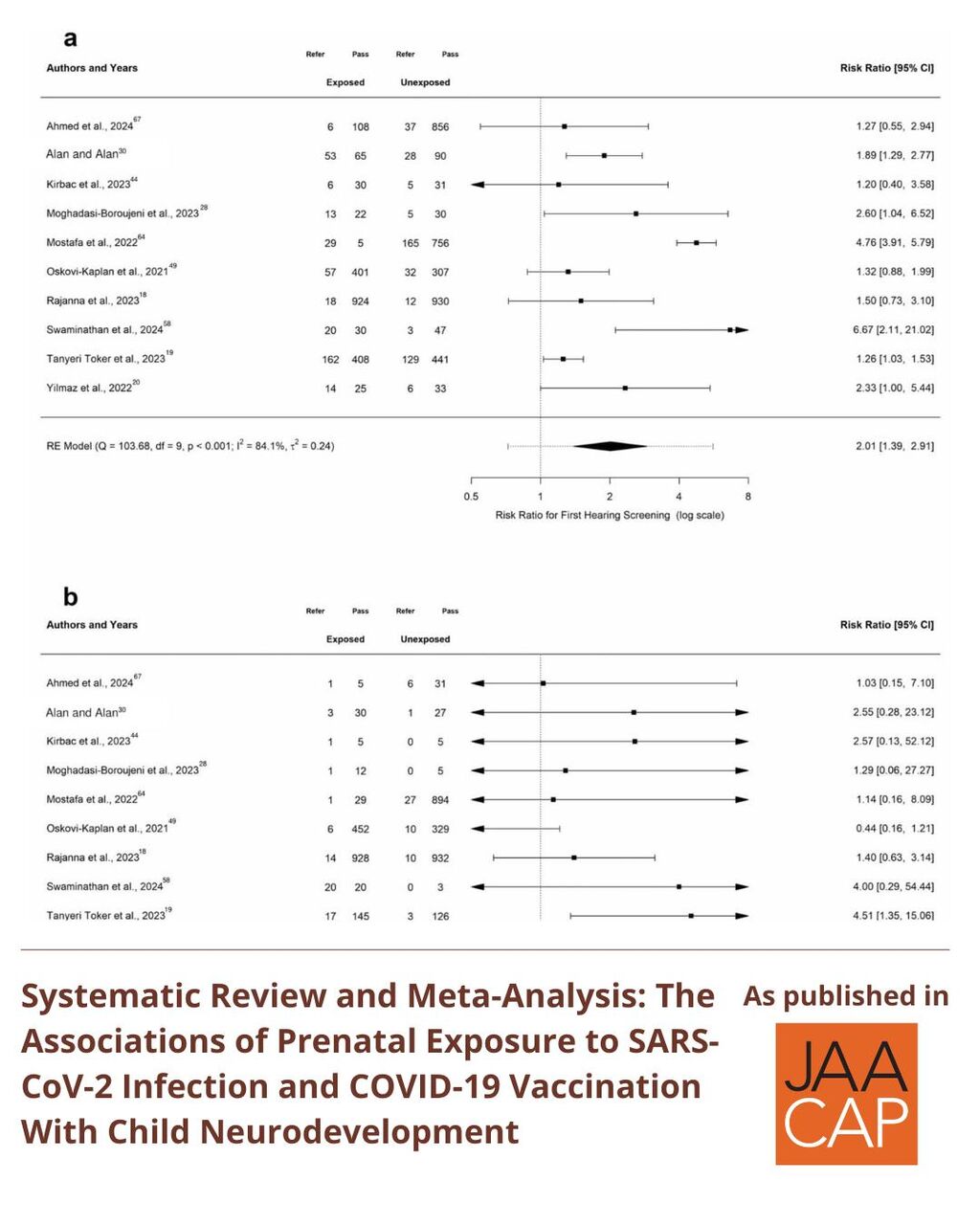 JAACAP AIP The Associations of Prenatal Exposure