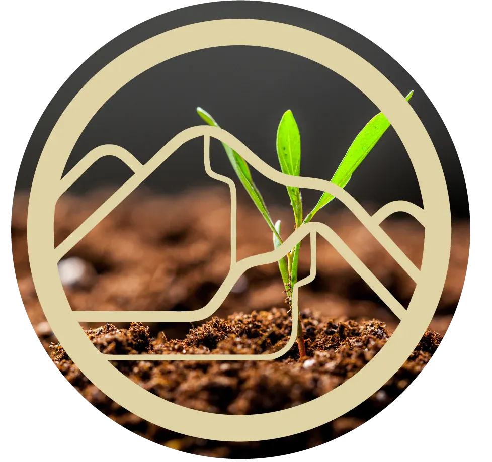 ZenCleanz ONE: Intestinal Cleanse