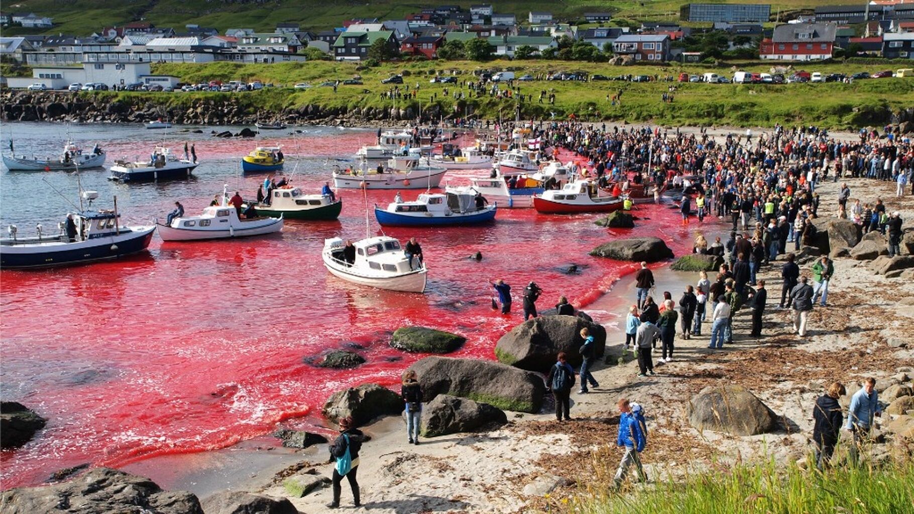 End the Faroes Grind