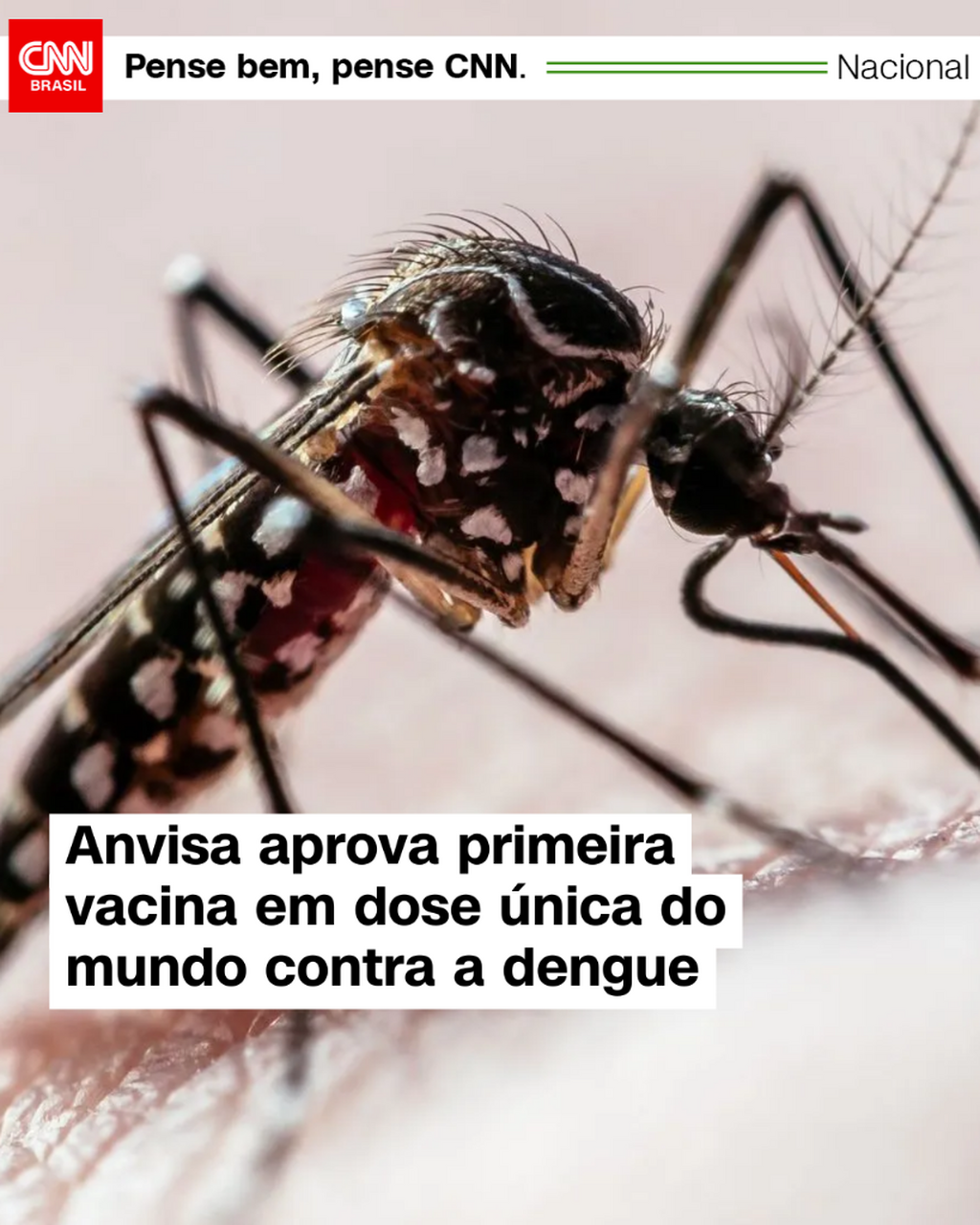 Anvisa aprova primeira vacina em dose &uacute;nica do mundo contra a dengue