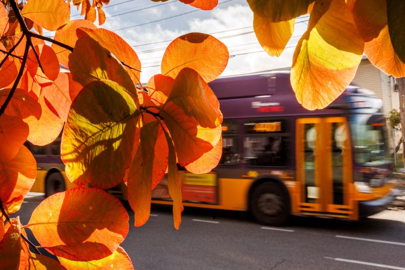 Holiday travel? Metro will help you get there