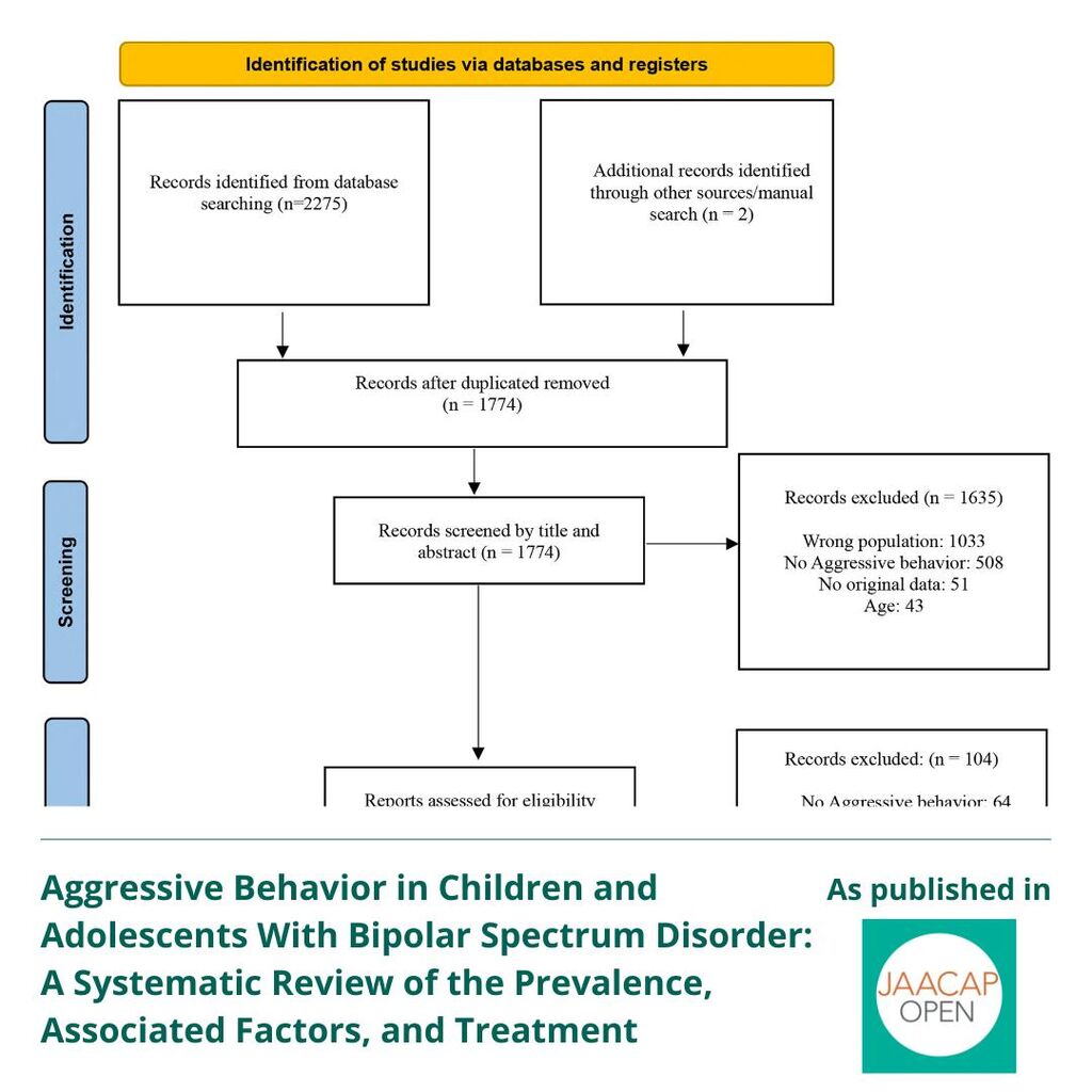 JO 0325 Aggressive Behavior in Children and Adolescents