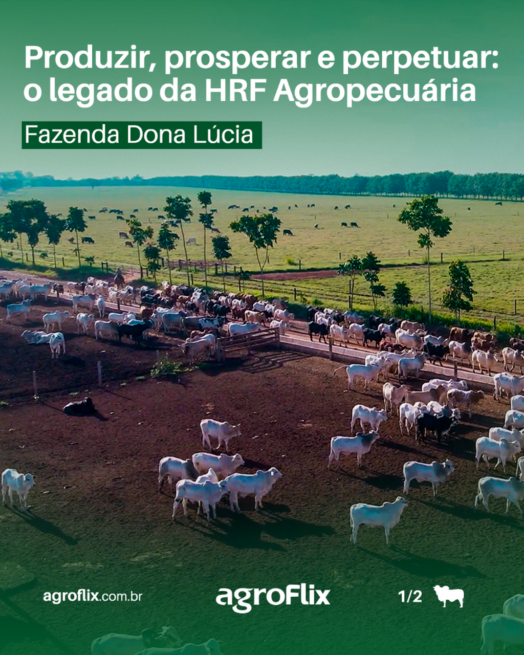 Acesse o agroFlix e conhe&ccedil;a a hist&oacute;ria e a constru&ccedil;&atilde;o de um legado que une tradi&ccedil;&atilde;o, inova&ccedil;&atilde;o e prop&oacute;sito. 