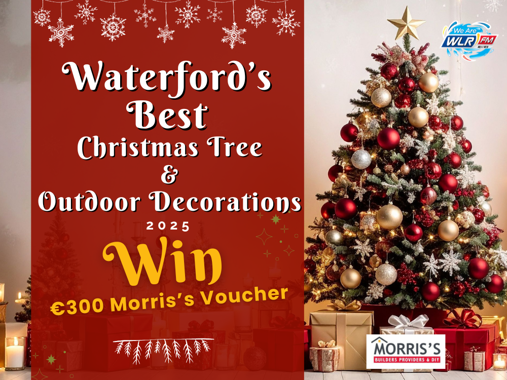 Waterford's Best Christmas Tree and Outdoor Decorations