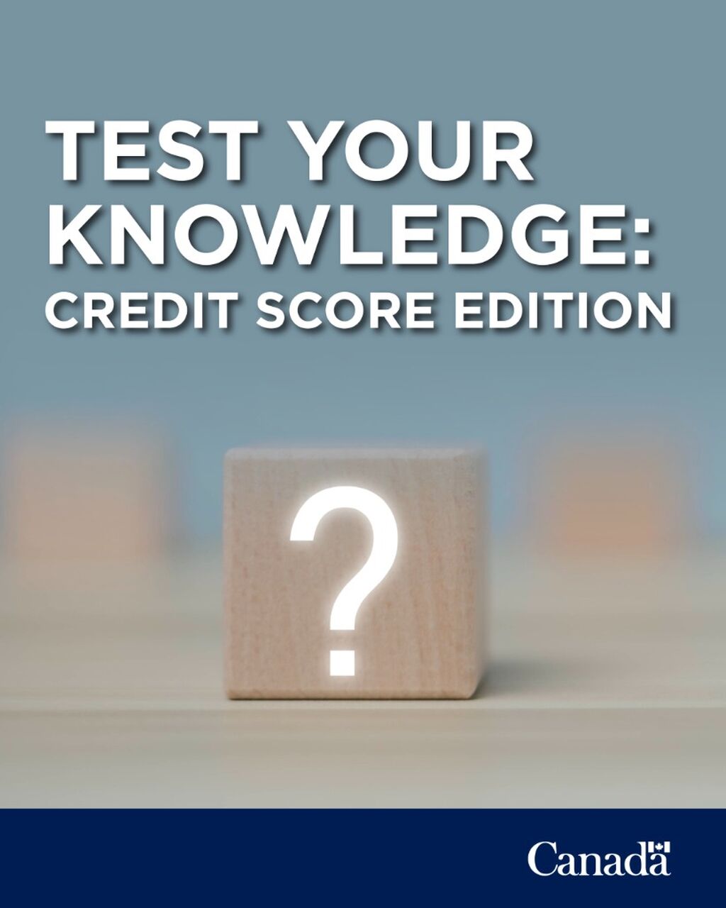 Credit reports and scores