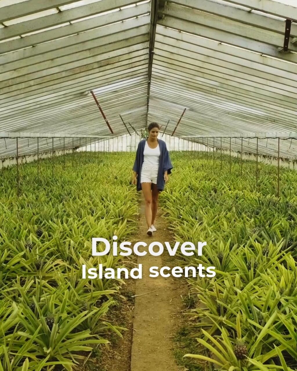 S&atilde;o Miguel Guided Group Tours - BF 