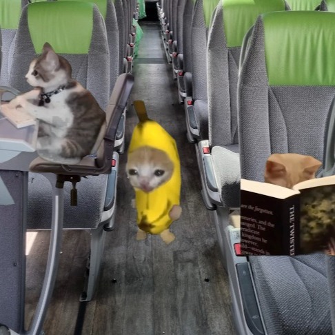 Which traveler are you? Pick your team
