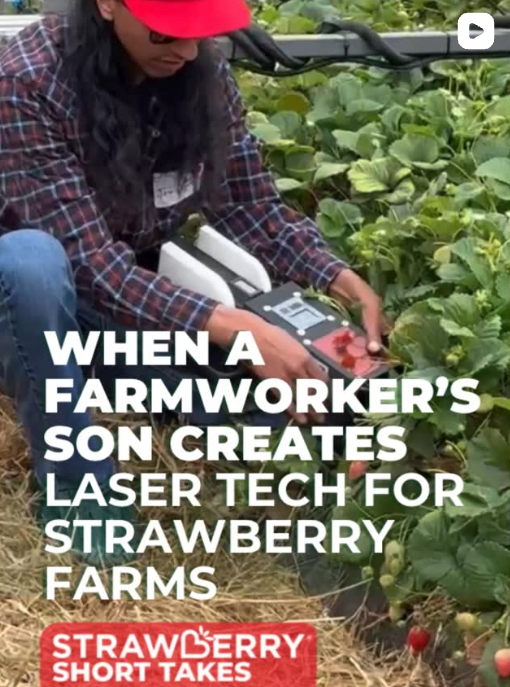 Strawberry Center Annual Field Day | Strawberry Center