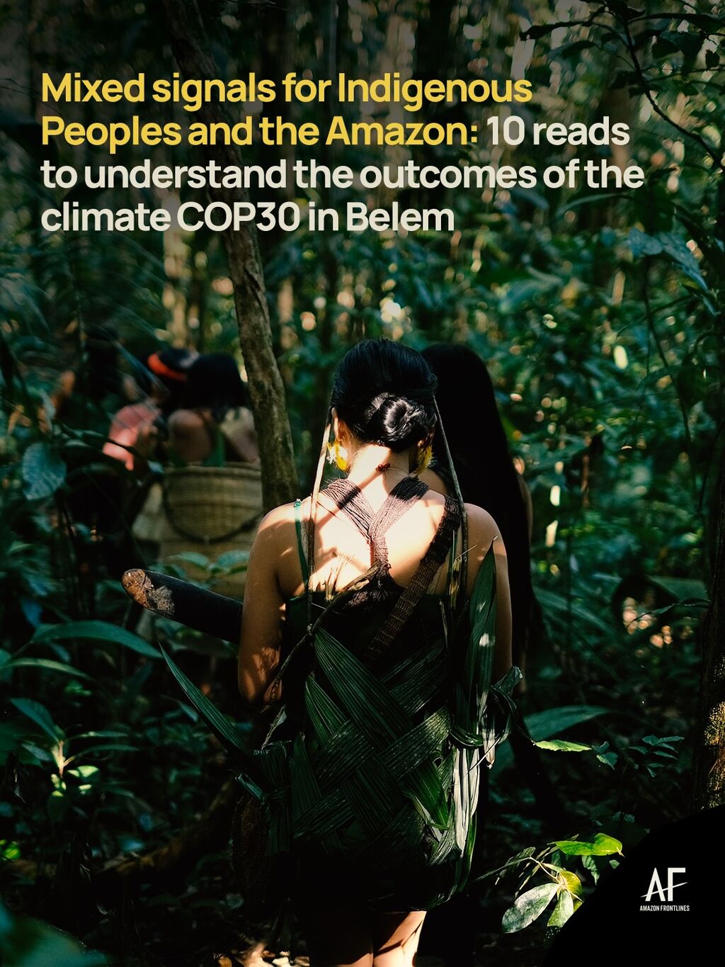 10 reads to understand the outcomes of the climate COP30 in Belem