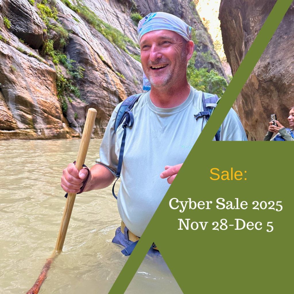 Cyber Sale