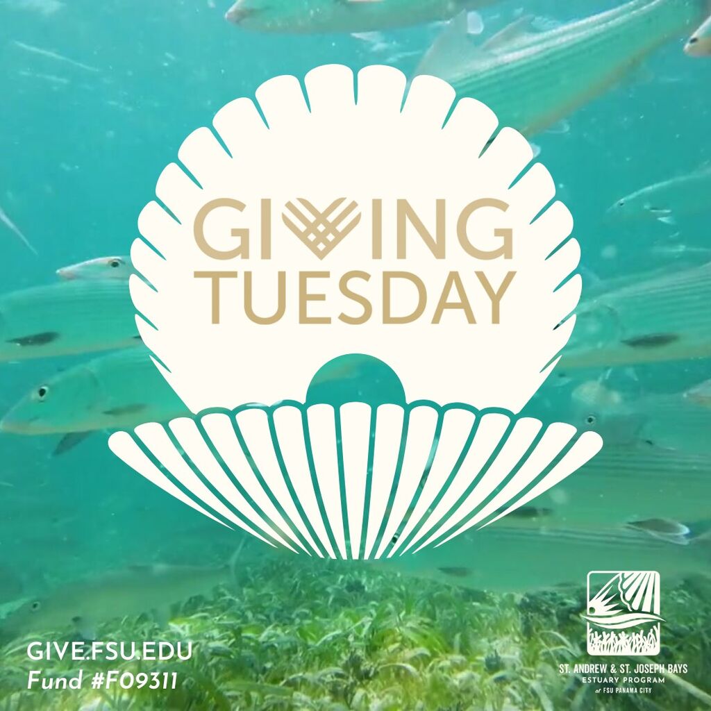Giving Tuesday